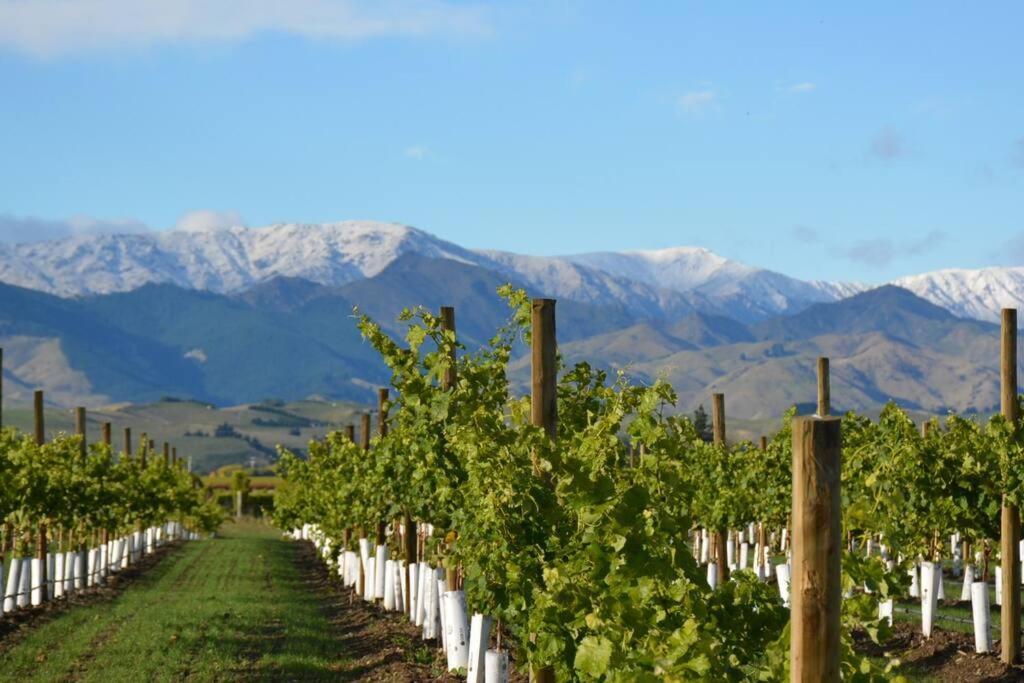 Ddog Vineyard & Bnb 렌윅 외부 사진