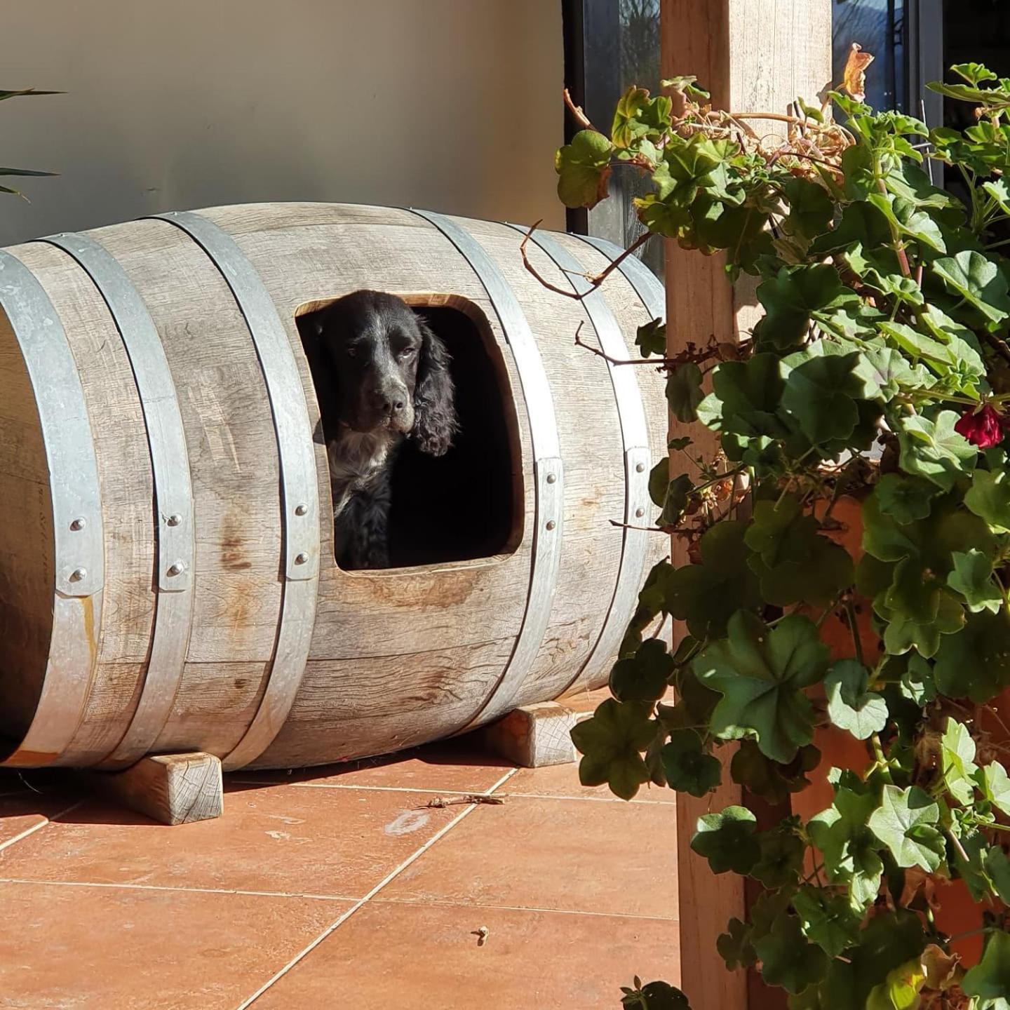 Ddog Vineyard & Bnb 렌윅 외부 사진