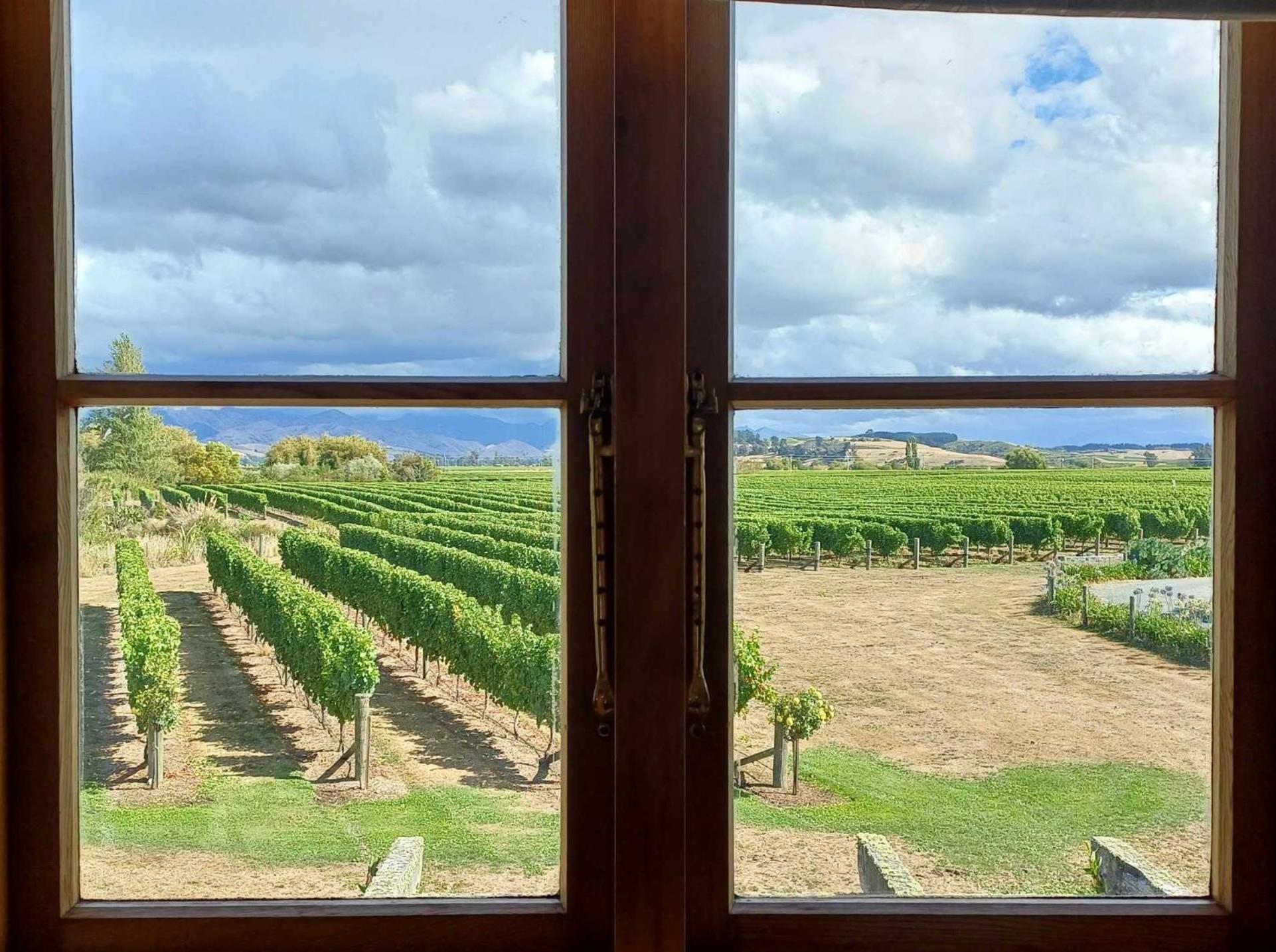 Ddog Vineyard & Bnb 렌윅 외부 사진